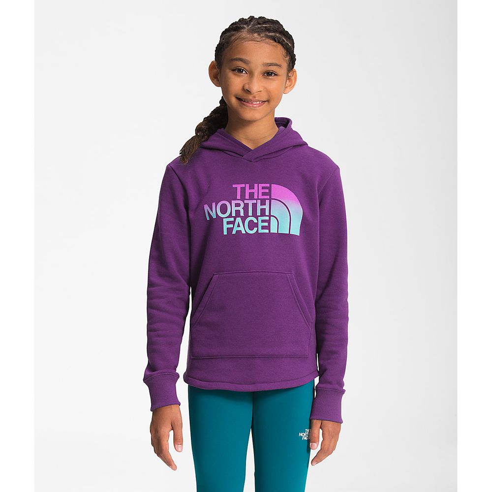 The North Face Hoodie Girls Australia - The North Face Camp Fleece Pullover Purple (OKY-453091)